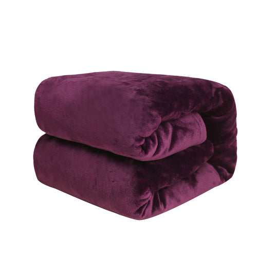 RONGTAI Dark Purple Fleece Throw Blanket for Sofa Bed